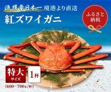 【蟹セレブ】ズワイガニ（紅ズワイガニ）特大1杯（600～700g×1）