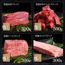 熟成肉　土佐あかうし詰め合わせ8種　田野屋銀象完全天日塩付き