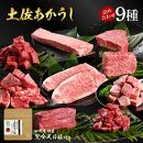 熟成肉　土佐あかうし詰め合わせ9種　田野屋銀象完全天日塩付き