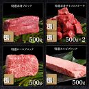 熟成肉　土佐あかうし詰め合わせ9種　田野屋銀象完全天日塩付き