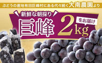 朝採り&nbsp;巨峰&nbsp;約2kg&nbsp;(4～6房)&nbsp;有田巨峰村&nbsp;大南農園　