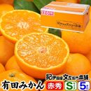 ブランド有田みかん【Ｓサイズ】秀品 5kg／産地直送／薄皮で甘い美味しい和歌山県産／紀伊国屋文左衛門本舗