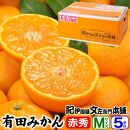 ブランド有田みかん【Ｍサイズ】秀品 5kg／産地直送／薄皮で甘い美味しい和歌山県産／紀伊国屋文左衛門本舗