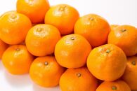 ブランド有田みかん【Ｓサイズ】秀品10kg／産地直送／薄皮で甘い美味しい 和歌山県産／紀伊国屋文左衛門本舗