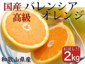 希少 高級 バレンシアオレンジ 2kg 和歌山県産 武内園   【先行予約】