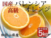 希少 高級 バレンシアオレンジ 5kg 和歌山県産 武内園  【先行予約】