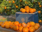 ［先行受付2025年11月発送～］NEW&nbsp;はじめまして&nbsp;有田みかん&nbsp;&nbsp;お試し&nbsp;2kg&nbsp;和歌山県産&nbsp;/&nbsp;ORYY推奨山県産&nbsp;混サイズ&nbsp;ORYY推奨&nbsp;［先行予約］