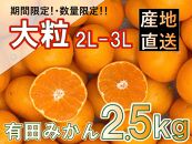 【先行予約】和歌山県産 有田みかん 大粒サイズ 2.5kg