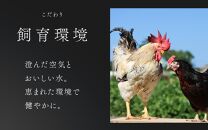 【6ヶ月連続お届け】 福井ブランド 「福地鶏」 の卵 20個 濃厚で甘くておいしい！ 定期便 ／ 卵 たまご 鶏卵 生卵 有精卵 高級 高級卵 福地鶏 鶏 平飼い 美味しい こだわり 6ヶ月 定期便 卵かけご飯 料理 あわら市 福井県産