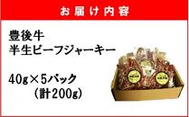 【黒毛和牛】 豊後牛／半生ビーフジャーキー 200g (40g×5P)_2392R