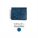 【Ivory Black】Ocean Leather BOXコインケース【マダイ】【ポイント交換専用】