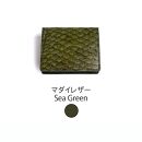 【Ivory Black】Ocean Leather BOXコインケース【マダイ】【ポイント交換専用】