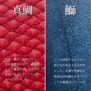 【Ocean Blue】Ocean Leather ラウンドファスナー長財布【マダイ】【ポイント交換専用】