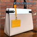 【Golden Yellow】Ocean Leather IDパスケース【マダイ】【ポイント交換専用】