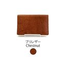 【Ivory Black】Ocean Leather 名刺入れ【ブリ】M【ポイント交換専用】