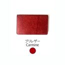 【Chestnut】Ocean Leather 名刺入れ【ブリ】M【ポイント交換専用】