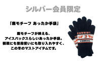 アイスバックス&nbsp;ファンクラブ&nbsp;会員（シルバー）&nbsp;|&nbsp;アイスホッケー&nbsp;スポーツ&nbsp;会員権&nbsp;栃木&nbsp;日光