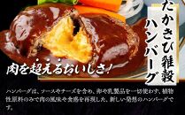 【NIKUGOE】&nbsp;たかきび雑穀ハンバーグ詰め合わせ&nbsp;「藍」（計4個）