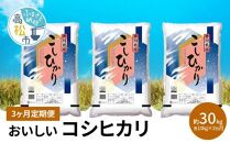 【3ヶ月定期便】計約30kg おいしいコシヒカリ約10kg