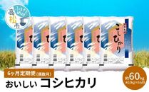 【6ヶ月定期便】計約60kg 偶数月 おいしいコシヒカリ約10kg