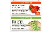 香川県オリジナル品種を満喫できる旬の果物・野菜 定期便Q