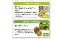 香川県オリジナル品種を満喫できる旬の果物・野菜 定期便Q