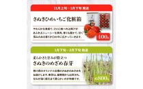 香川県オリジナル品種を満喫できる旬の果物・野菜 定期便Q