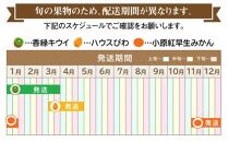 季節のフルーツ 人気 厳選 高松市 3回 [旬な季節に合計3回発送]定期便B