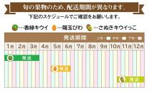 季節のフルーツ 人気 厳選 高松市 3回 [旬な季節に合計3回発送]定期便C