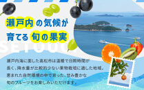 【ALL化粧箱】【3回お届け】高松市自慢のフルーツ定期便【H】|&nbsp;桃&nbsp;もも&nbsp;モモ&nbsp;マスカット&nbsp;シャインマスカット&nbsp;ぶどう&nbsp;ブドウ&nbsp;みかん&nbsp;ミカン&nbsp;小原紅早生みかん&nbsp;早生みかん&nbsp;柑橘&nbsp;柑橘系&nbsp;オレンジ&nbsp;果物&nbsp;くだもの&nbsp;旬の果物&nbsp;季節の果物&nbsp;季節のフルーツ&nbsp;フルーツ&nbsp;デザート&nbsp;化粧箱&nbsp;ギフト&nbsp;贈り物&nbsp;定期便&nbsp;香川県&nbsp;高松市