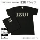 魔法の言葉「いずい」で「もちつもたれつ」IZUI Tシャツ  Aタイプ　Mサイズ
