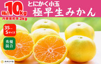 小玉みかん&nbsp;極早生&nbsp;箱込&nbsp;10kg&nbsp;(内容量約&nbsp;9.2kg)3S～Sサイズ混合&nbsp;秀品&nbsp;優品&nbsp;混合&nbsp;有田みかん&nbsp;和歌山県産&nbsp;【みかんの会】［2026年10月上旬頃より順次発送予定］