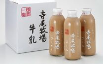 寺尾牧場のこだわり特製コーヒー3本セット（720ml×3本）【TM156】