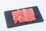 【神戸牛】食べ比べセット　計約1.17kg　すき焼き・しゃぶしゃぶ・ステーキ・焼肉・煮込み・炒め