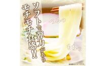 香川県産小麦(さぬきの夢)100%使用　半生うどん　300g×5袋　(15人前)濃縮つゆ付き