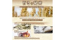 香川県産小麦(さぬきの夢)100%使用　半生うどん　300g×5袋　(15人前)濃縮つゆ付き