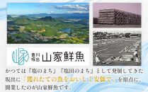 鰆の味噌漬（10切入）