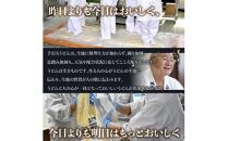 本場さぬき　ゆでうどん　20人前だし付き