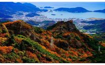 「瀬戸・たかまつネットワーク」香川県　小豆島方面（お手頃プラン）2日間