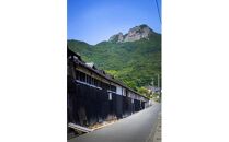 「瀬戸・たかまつネットワーク」香川県　アート島めぐり（小豆島・豊島・直島方面）2日間