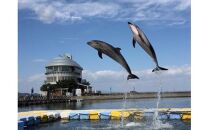 「瀬戸・たかまつネットワーク」香川県（さぬき市・三木町・東かがわ市方面）２日間