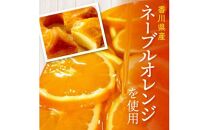 瀬戸内芳醇オレンジケーキ 香川県産ネーブルオレンジ