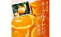 瀬戸内芳醇オレンジケーキ 小丸 6個入り 香川県産ネーブルオレンジ