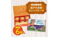 瀬戸内芳醇オレンジケーキ 小丸 6個入り 香川県産ネーブルオレンジ