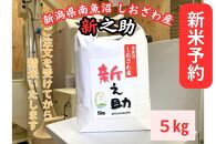 【新米予約】南魚沼しおざわ産　新之助　5kg