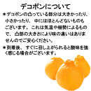 【秀品】和歌山有田のデコポン約5kg&nbsp;2027年1月以降順次発送