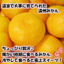 特撰品！和歌山有田の「ハウスみかん」【赤秀】約2.5kg&nbsp;化粧箱入り（2026年5月以降発送）