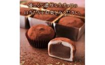 とろける生チョコ大福 24個(6個入×4箱)