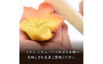 とろける生チョコ大福 24個(6個入×4箱)