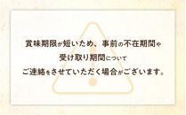 しゃぶまる特製 A4,A5等級オリーブ牛豚ミックス すき焼き 4人前 野菜・讃岐うどん付き